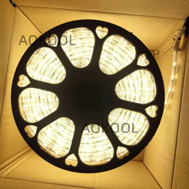 12v 24v 110v 220v rope light led