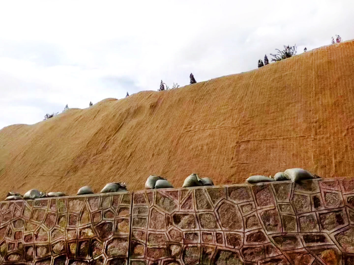 Wall Reinforcement Coconut Fiber Ground Protection Road Matting Rolls Coir Erosion Control Blankets