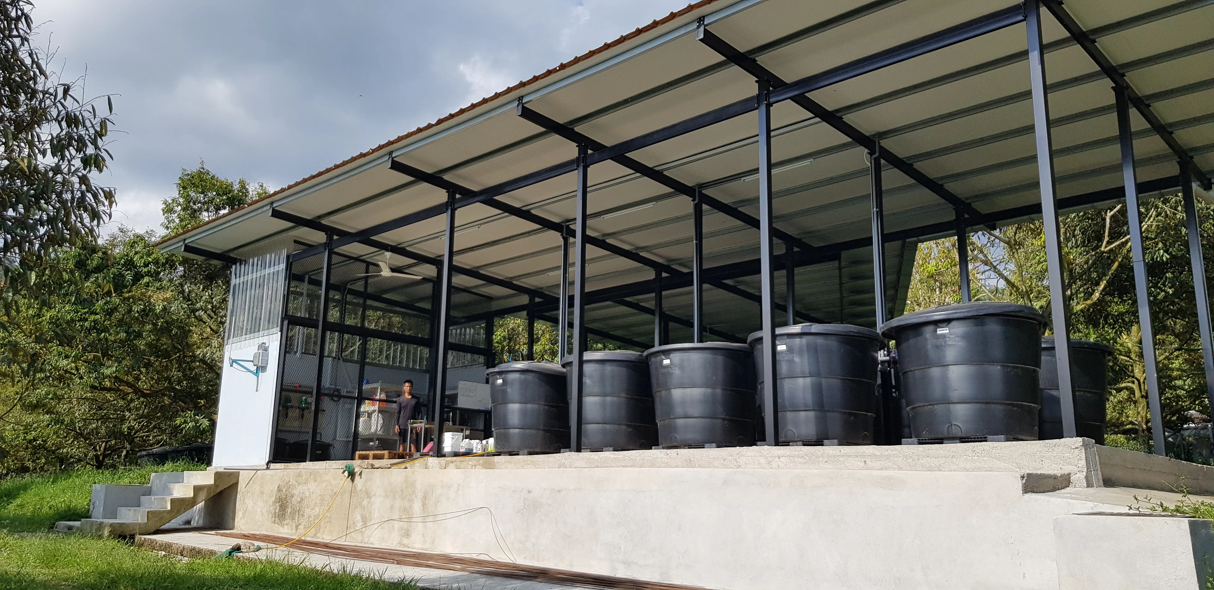 Премиум качество 2 кг замороженный Вакуумный пакет D197 Musang Durian из малайзии