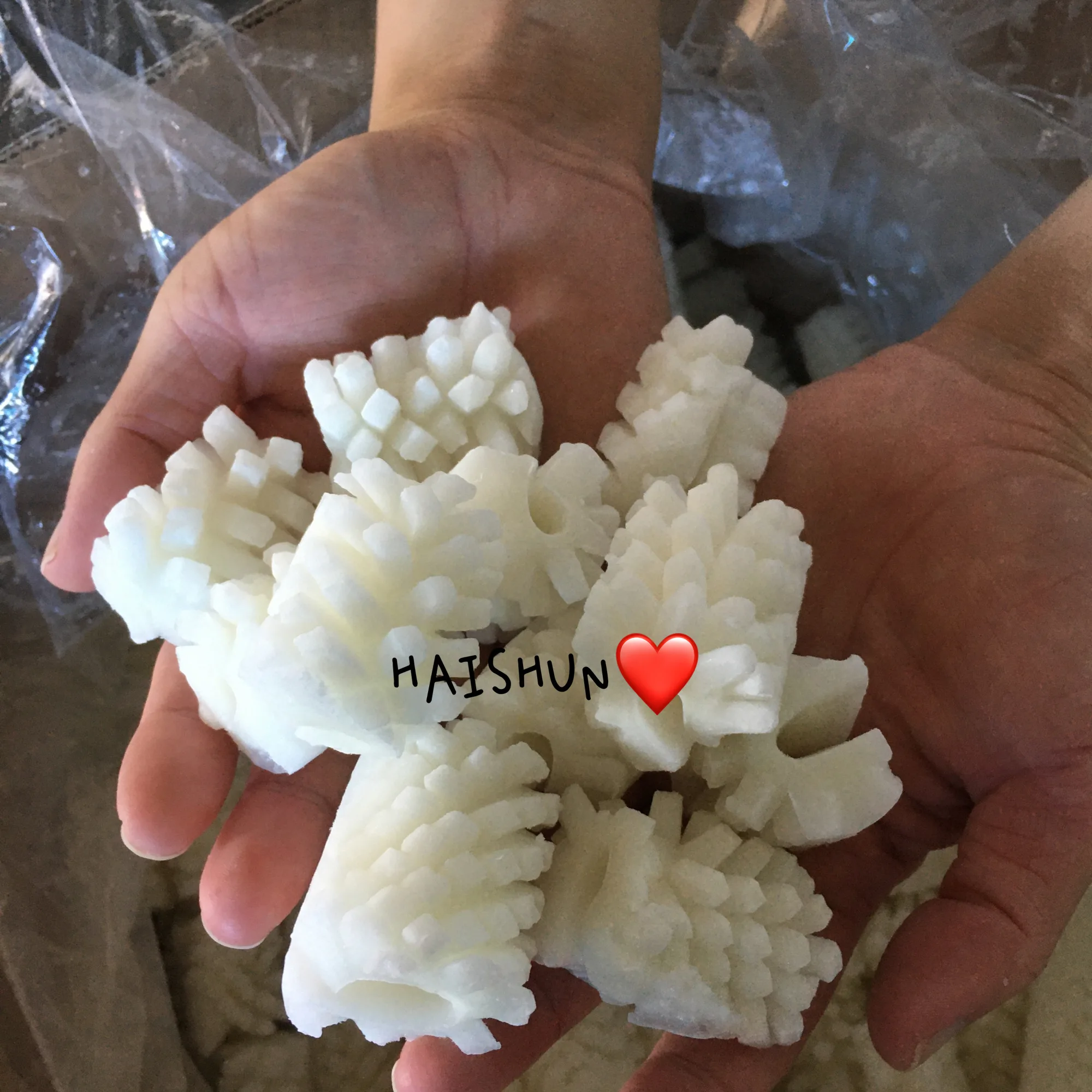 A Grade Quality indian ocean squid flower factory frozen squid For Thailand