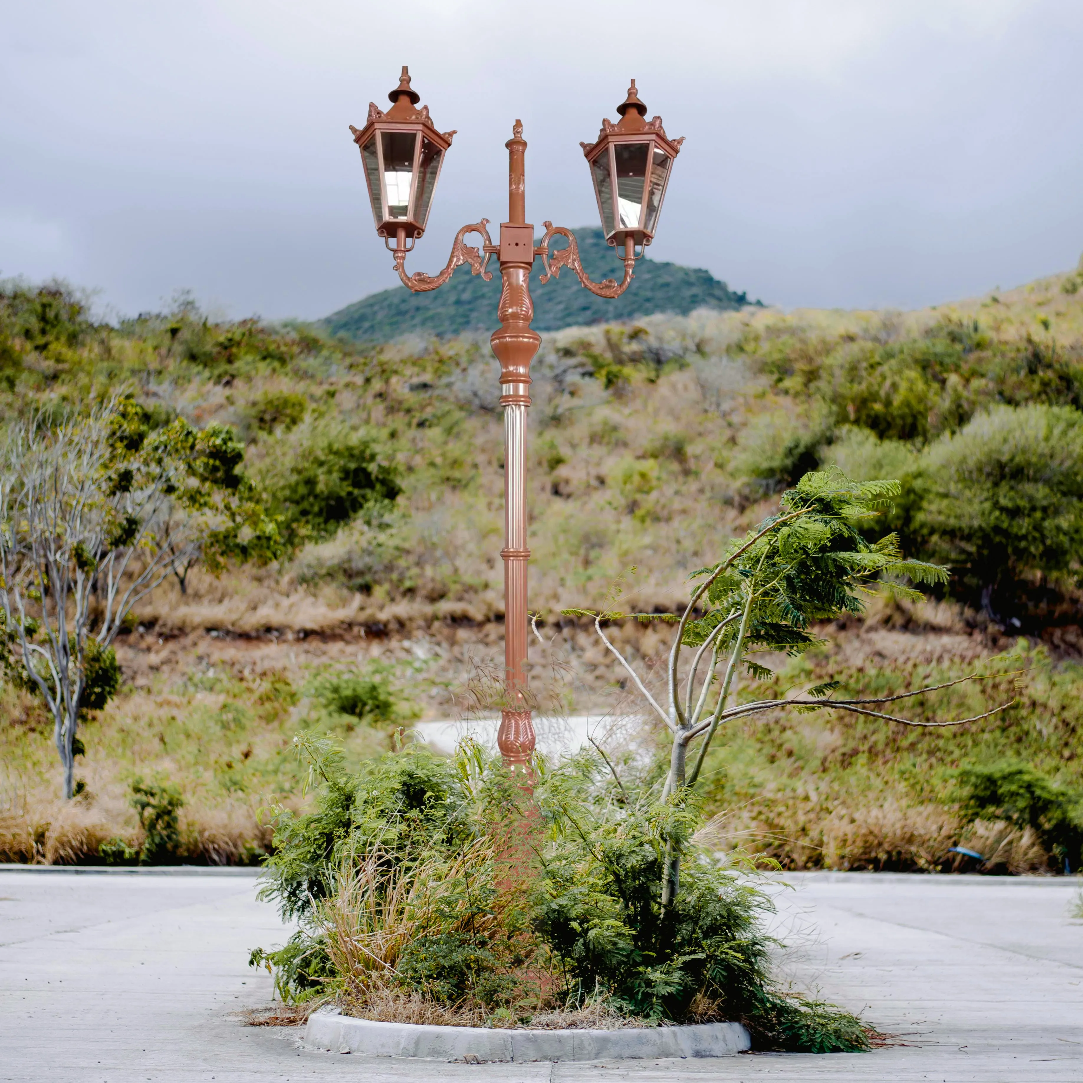 ZOMI Outdoor Lighting Pole Landscape Lawn Waterproof European style garden light Double Arms Pole Light