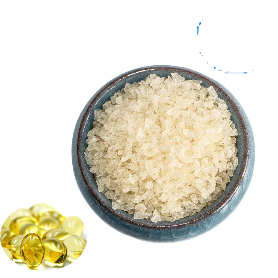 Gelatin Gel Capsule Absorbable Hemostatic Gelatin Sponge