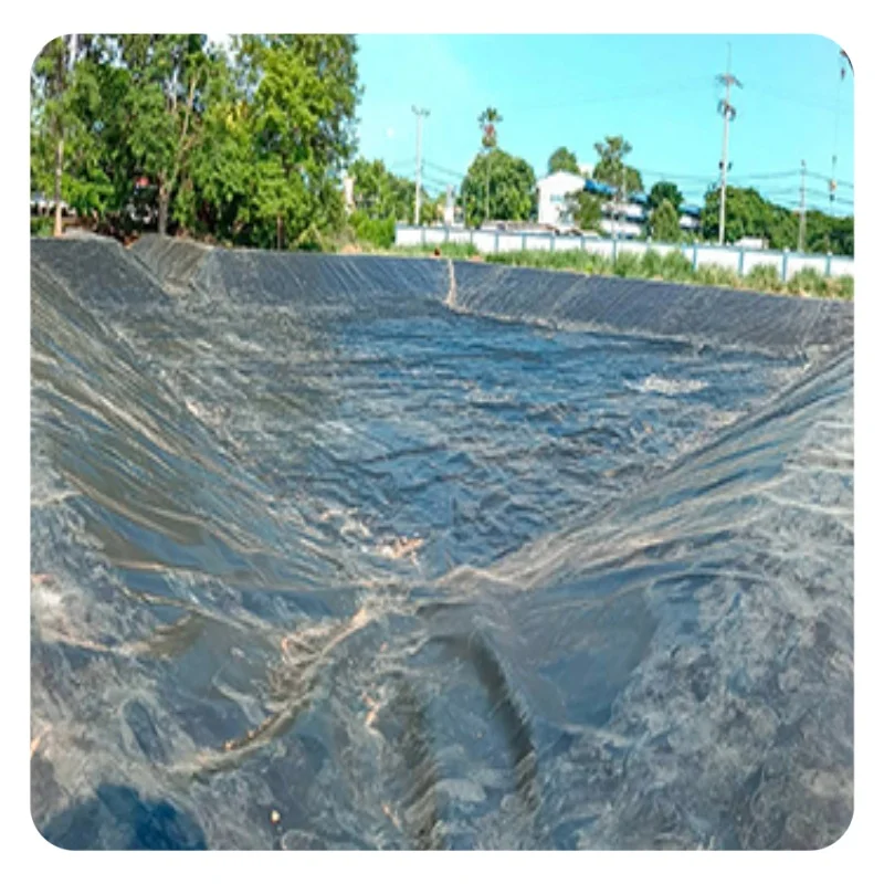 PVC Membrane Damp Proof Membrane HDPE Geomembrane Liner