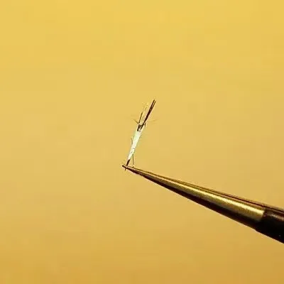 Bi2Se3 Bismuth selenide crystals