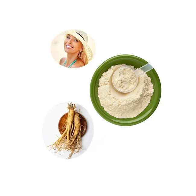Sale Ginseng Extract Powder 5% 25% 50%  Ginsenosides in bulk