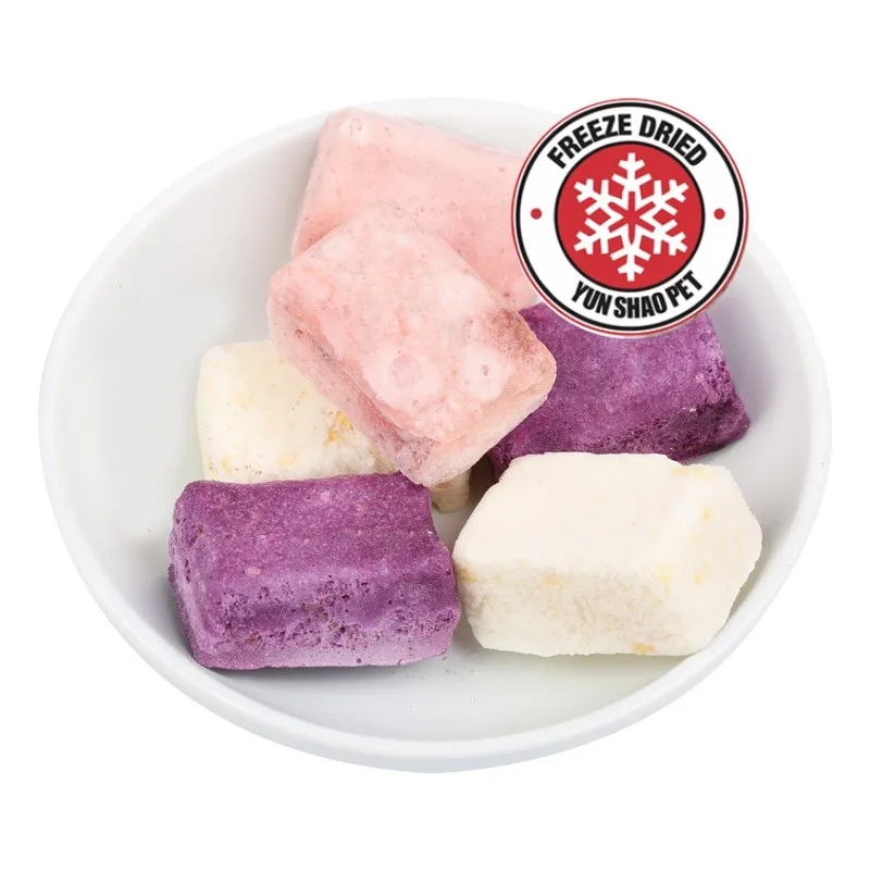 OEM  100% natural freeze drying fruit vegan dog treat MANGO wholesale in bulk and OEM packing