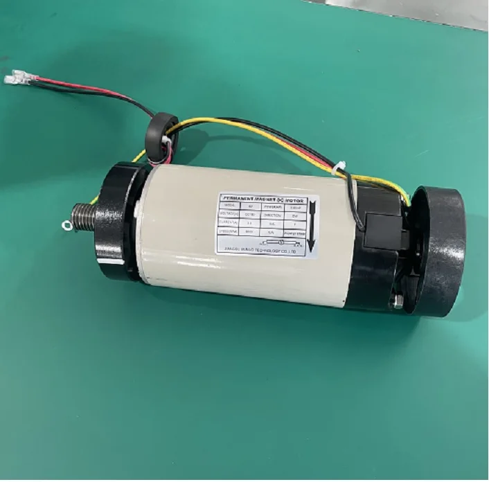 Treadpace Industrial Permanent Professional Permanent Magnet Motor Permanent Magnet Dc Motor for Treadmills