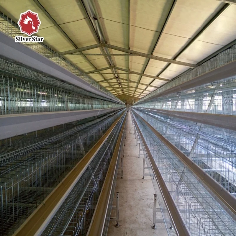 Cheap price poultry farming cage agricultural equipment for layer chicken