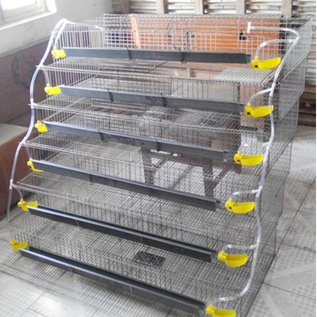 
Poultry farm chicken coop layer chicken cage Quail cages for sale 