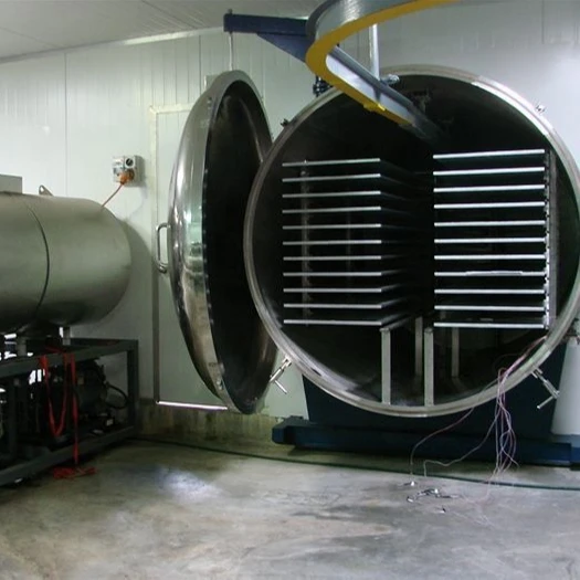 
herbal medicine vacuum freeze dryer dehydration machine for biopharmaceutical 