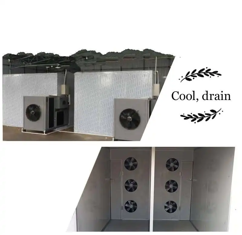 
Plastic for wholesales fruit and vegetable cutting machine 