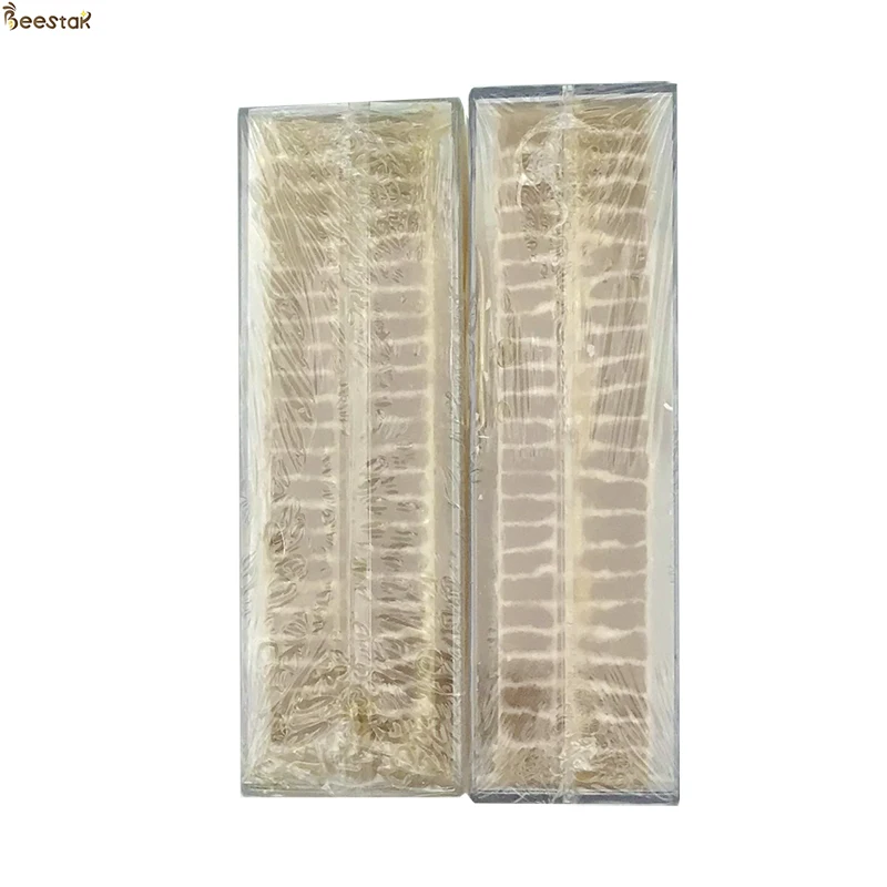 Natural Comb Bee Honey Raw Pure Natural Polyflower Honey Sales in Bulk from China Honey