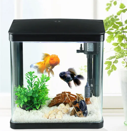 Mini Fish Tank Small Glass Desktop Aquarium Kit for Starter with Tank and LED Light and Filter and Pump