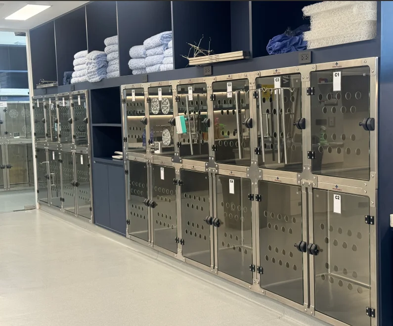 Aeolus Supplier Hot Sale Stainless Steel Pet Dog Cat Cage For Veterinary modular banks animal shorline mason stackable vet