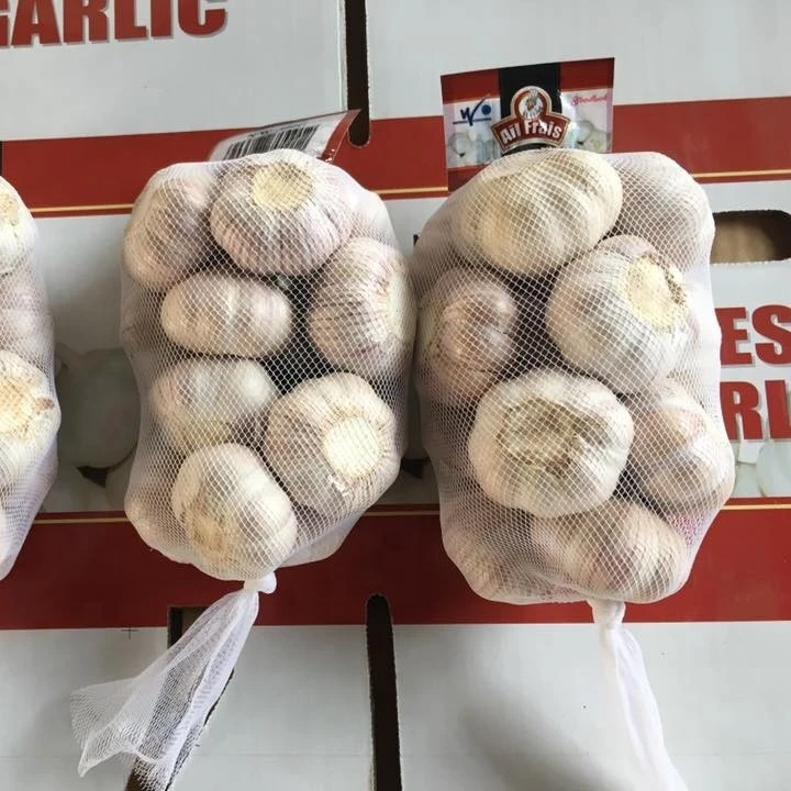 
fresh white garlic 