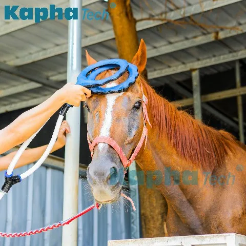 Non-invasive Equine Machine Big Treatment Area Pulse Electromagnetic Field Physiotherapy PMST LOOP