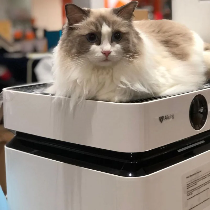 Airdog Clean Air Purifiers Home Large Room Purifyer with Air Quality Indicator