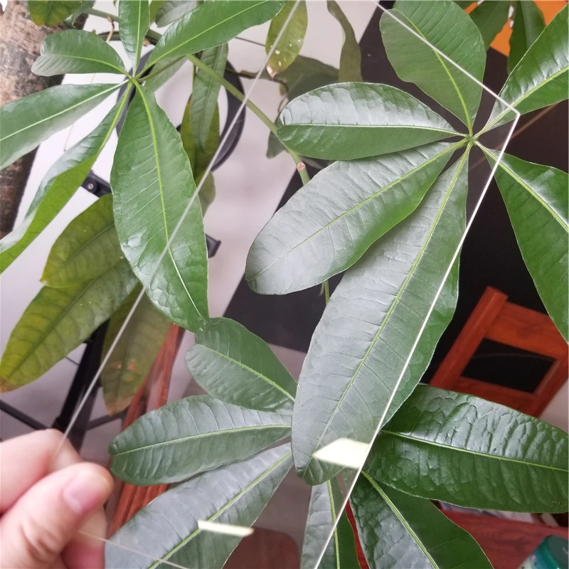 New fession 	ultra clear tempered glass screen protector glass