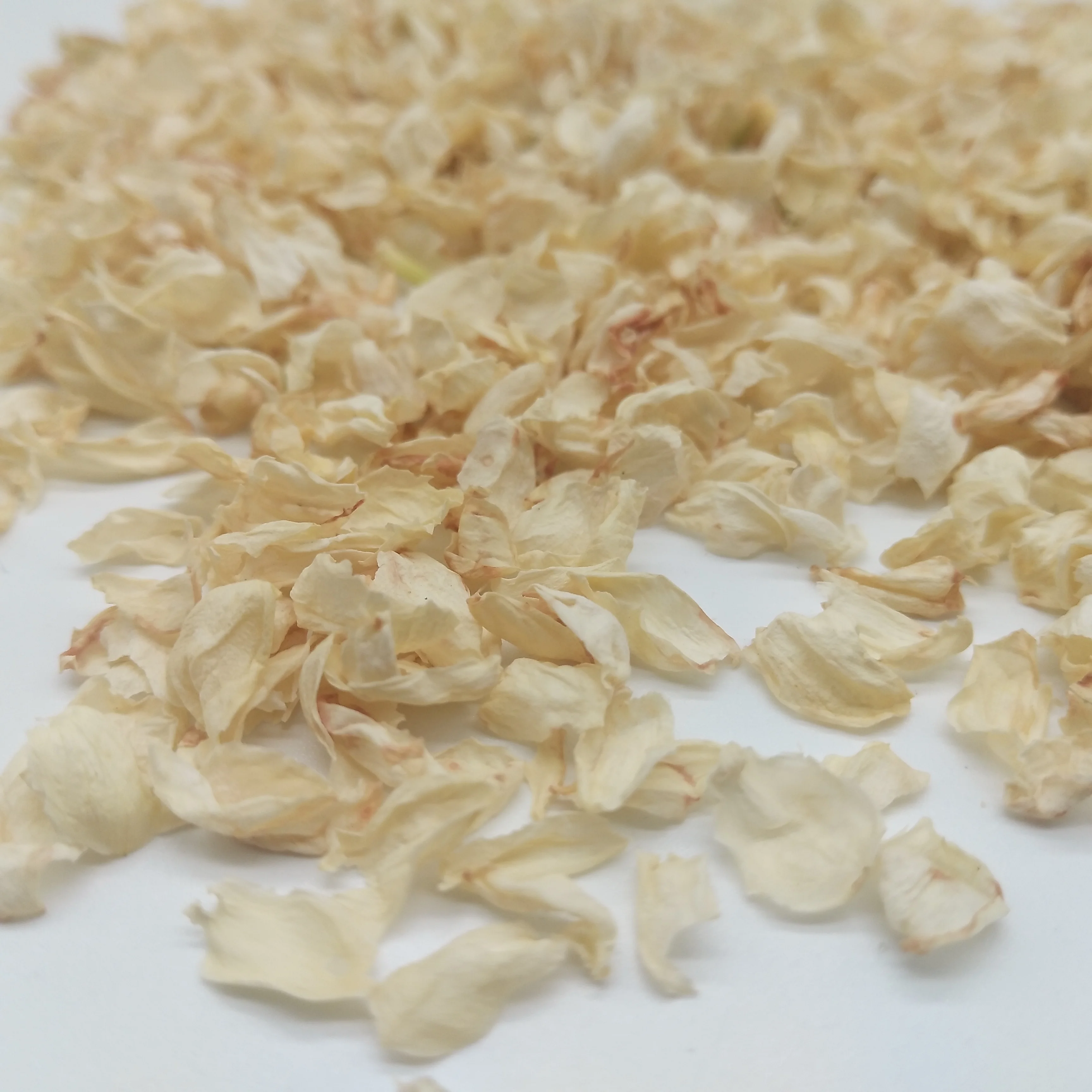 4013 Mo li hua ban Best selling products dried flower Jasmine petals for tea
