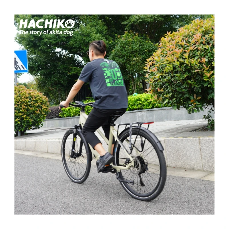 Hachiko Exclusive electric mountain bike 250W MIVICE mid motor 48V 15Ah long range electric city bike