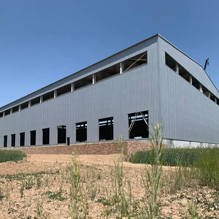 Baofeng Factory Custom Prefab Engineering Steel structure Buildings for factory workshop