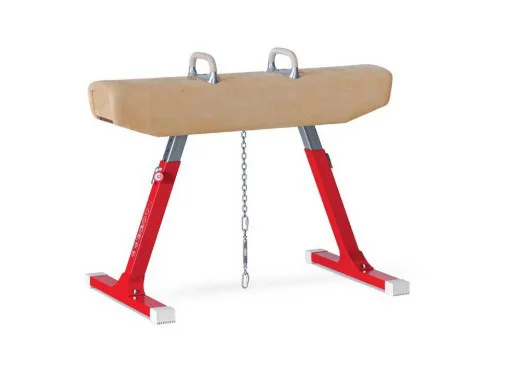 Gymnastic Training Pommel Horse