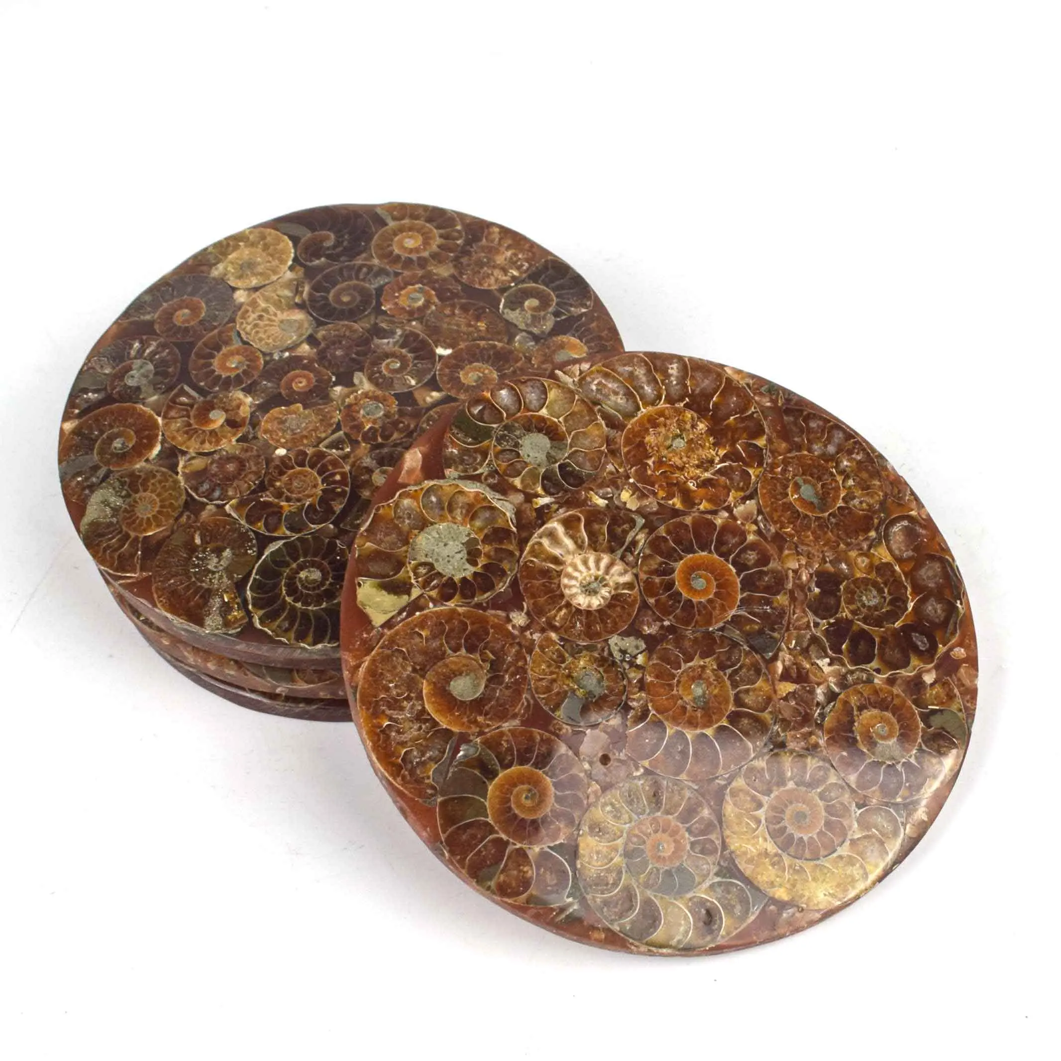 Wholesale Natural Crystals Ammonite Teacup Mat Polished Fossil Plate For Decoration