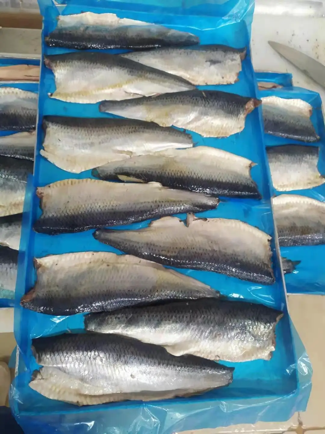 Hot sale  frozen Pacific Herring fillet IQF