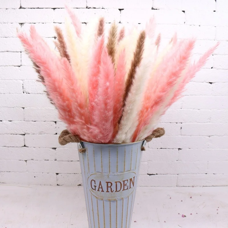 
Wholesale 100% natural Yunnan dried pampas grass decorative flowers 