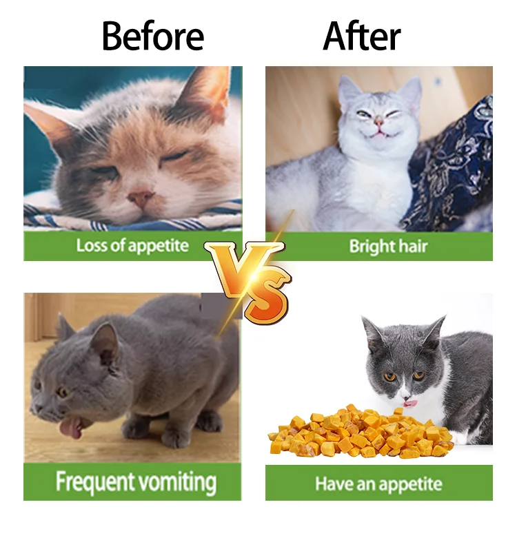 Hot Selling Pet Food High Protein Nutrition Dog Food Cat Food Egg Yolk Cubes  Freeze-Dried Pet Snacks