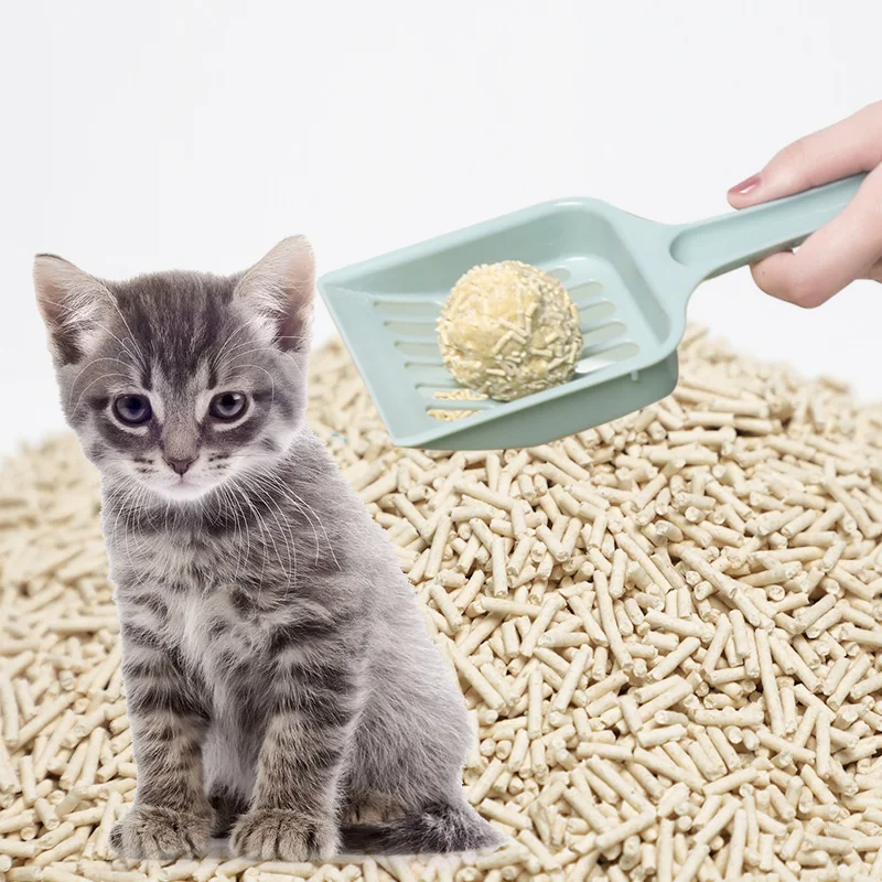 Wholesale Clumping Clean 6L Plant Degradable ECO Friendly Forever Fresh Tofu Cat Litter