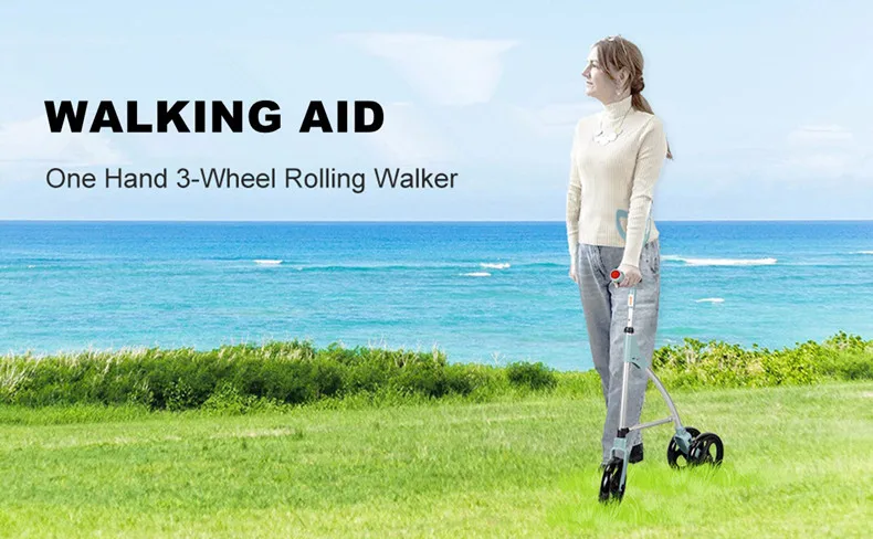 3-wheeled walker.jpg