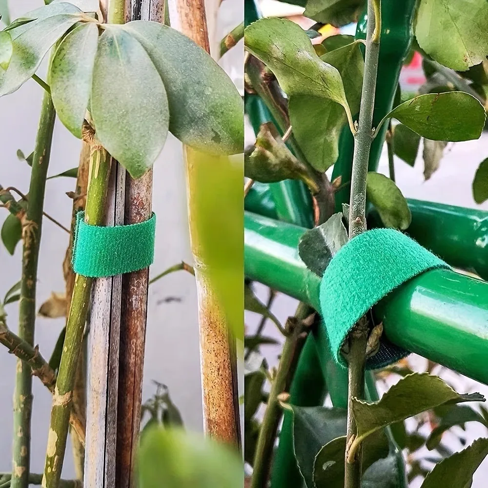 Nylon Plant Ties Self Adhesive Tape Vine Fastener Adjustable Ties Home Garden Cable Organizer Plants Accessories