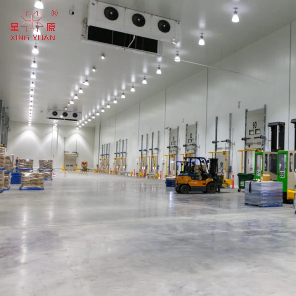 Best price heat insulation refrigerated cold room fresh vegetables walk in cooler freezer storage with CE certificate