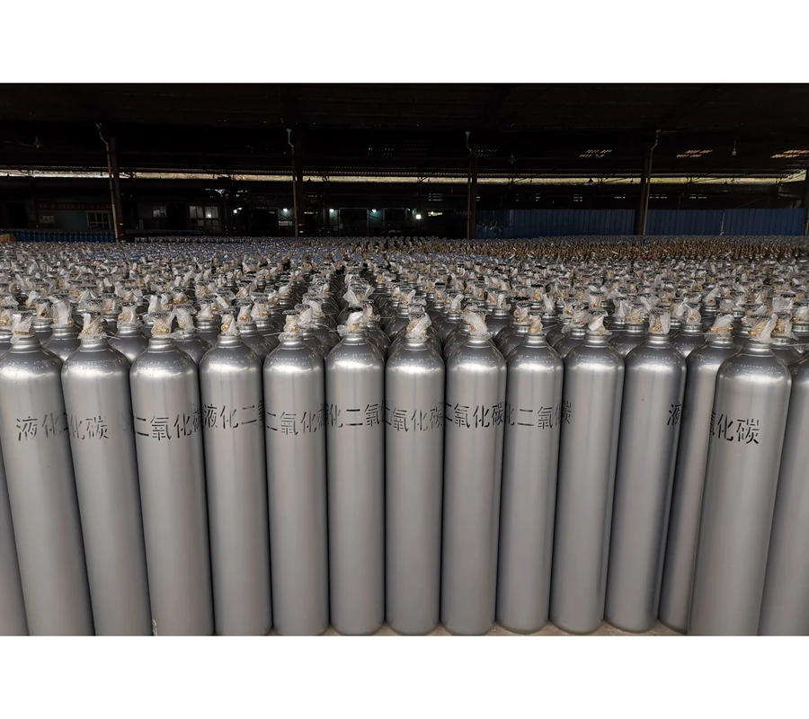 New Promotion Hot Style Heavy-Duty Gas Cylinder Cap Nitrogen Tank Cylinder Compact Oxygen Tank