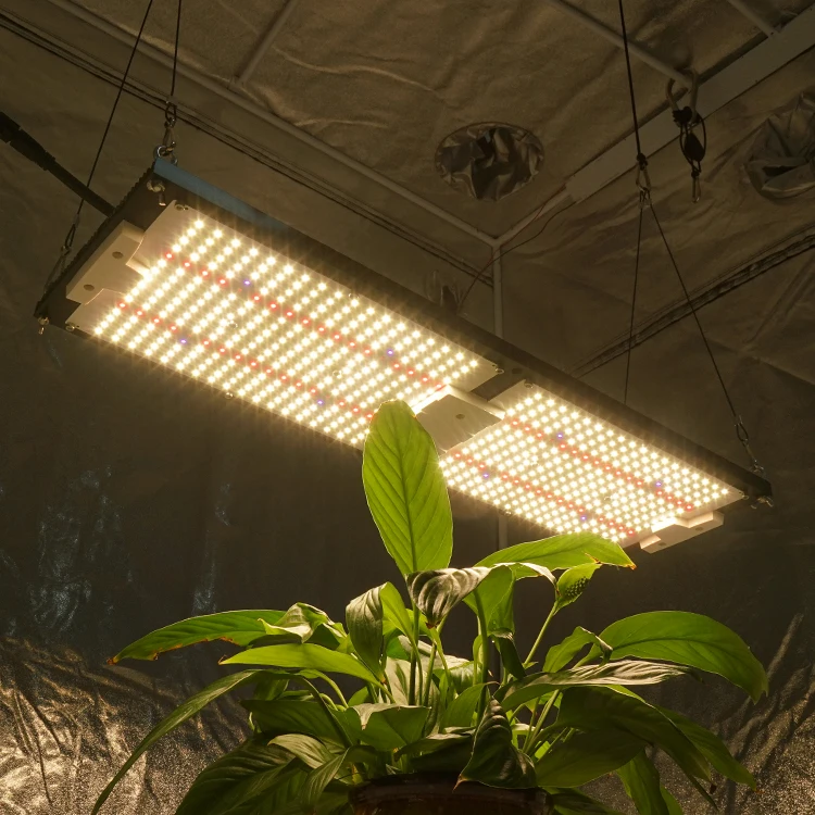 USA RU EU Stock!! Newest KingBrite 240W Samsung LM301H with 660nm UV IR LED Grow Light for 2*4ft Tent
