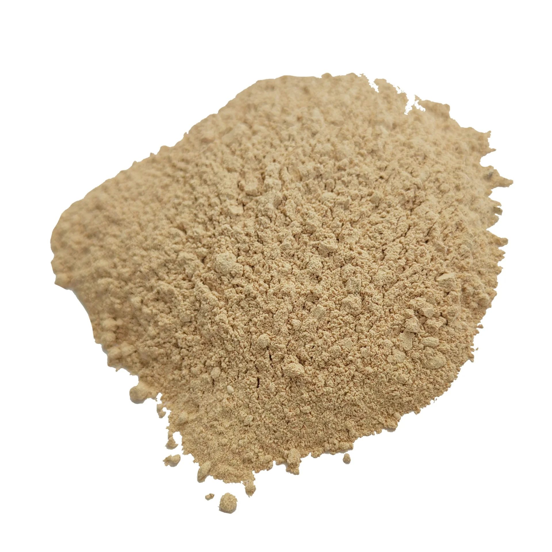 Stomach Protein Digestive Enzymes 98% beer yeast powder