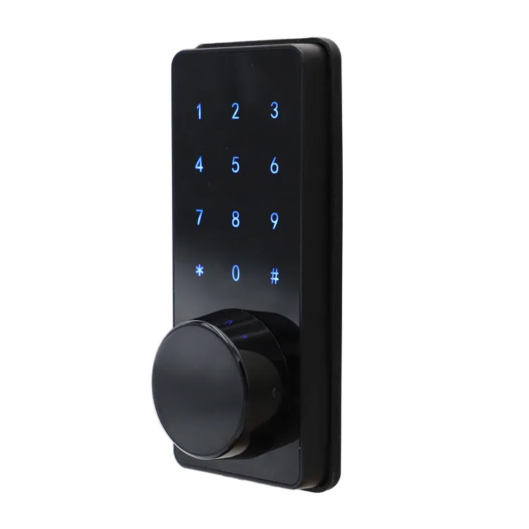 Whole Sale Shenzhen Factory Price Smart Home DIY Digital Tuya Wifi Smart Door Lock