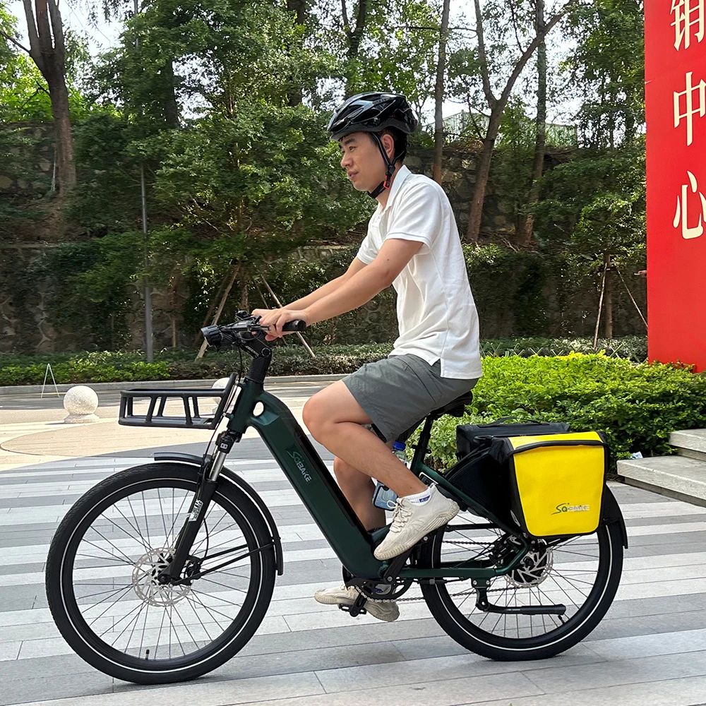 EU Warehouse Electric Bicycle 250W 500W 48V 15Ah Torque Sensor Electric City Bike with Basket 8 Speed Hydraulic Disc Brake Ebike