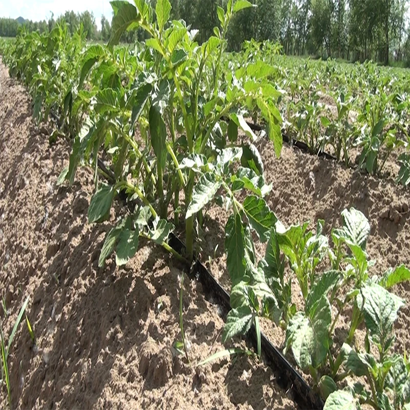 Recommend Plastic irrigation system automatic