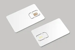 International 4G LTE USIM SIM Card 2ff 3ff 4ff 3-in-1 128K Prepaid for Smart Watch Mobile Phone Cards