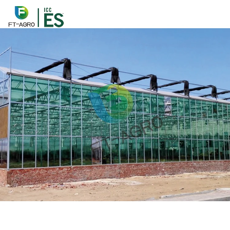 Modern style Multispan Glass Agricultural Greenhouse for Strawberry / Grape / Raspberry