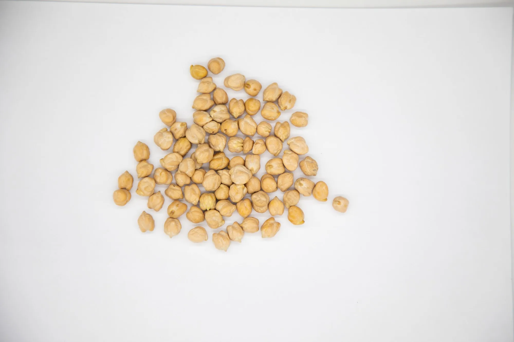 Organic chickpeas 100% natural high grade 6+ 7+ 8+ 9+ caliber chickpea in bulk from Uzbekistan manufacturer