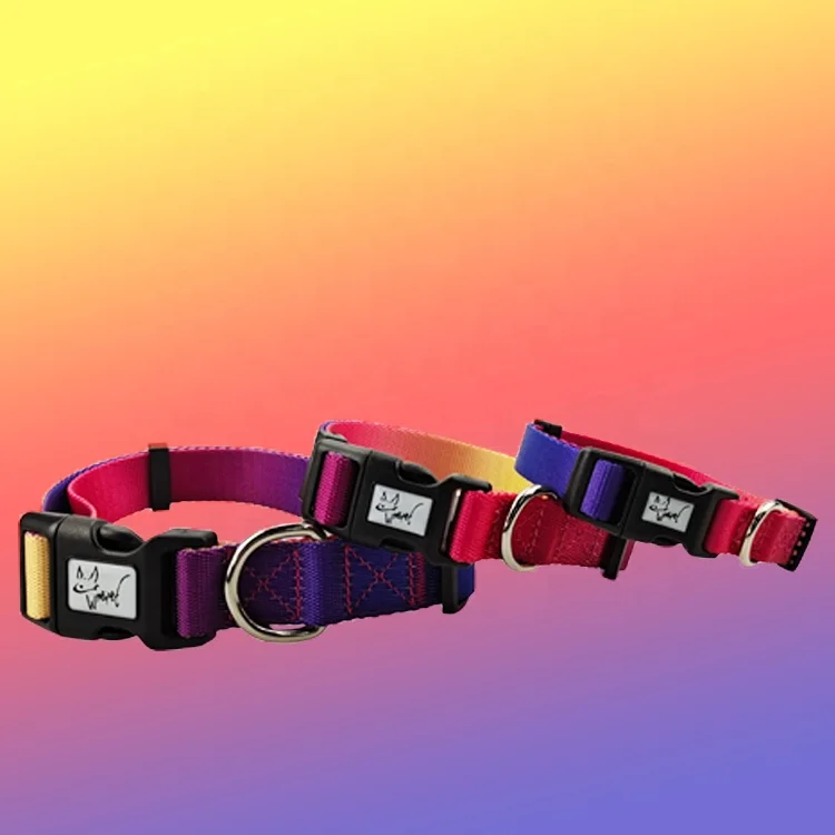 colorful dog collar accept custom logo wholesale pet collar