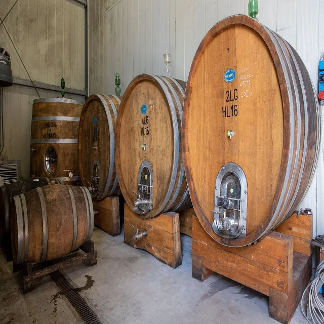 Лучшее итальянское кустарное пиво Birra Lake craft beer