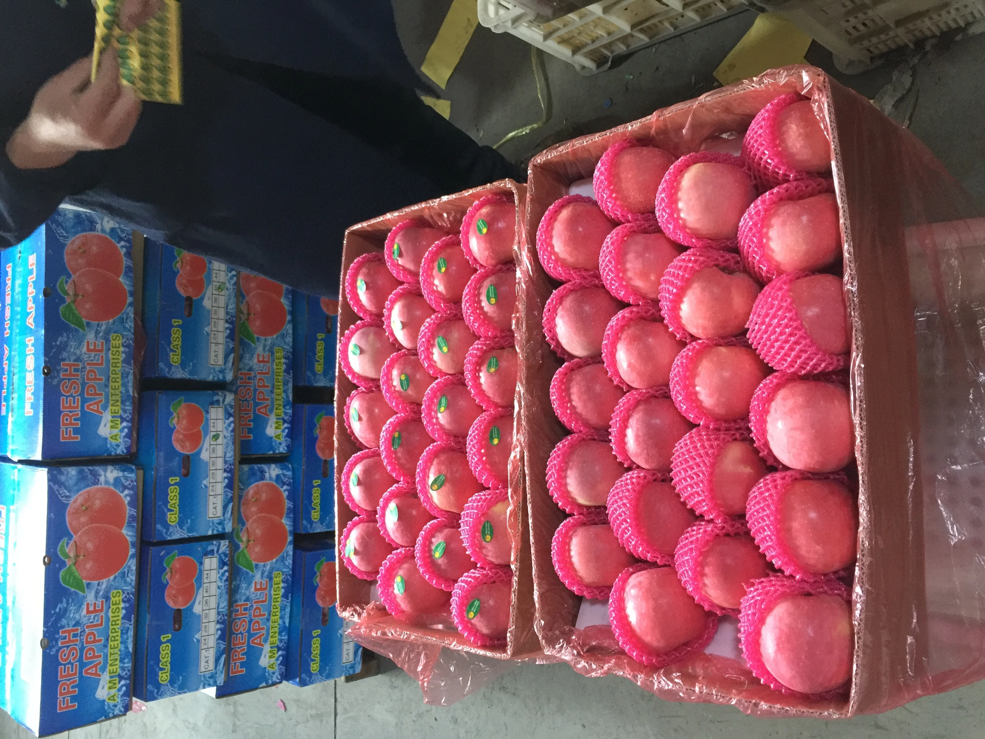 Wholesale Yantai Red Fuji Green Golden Delicious Apples Gala Apples  Fresh Apples for Sale