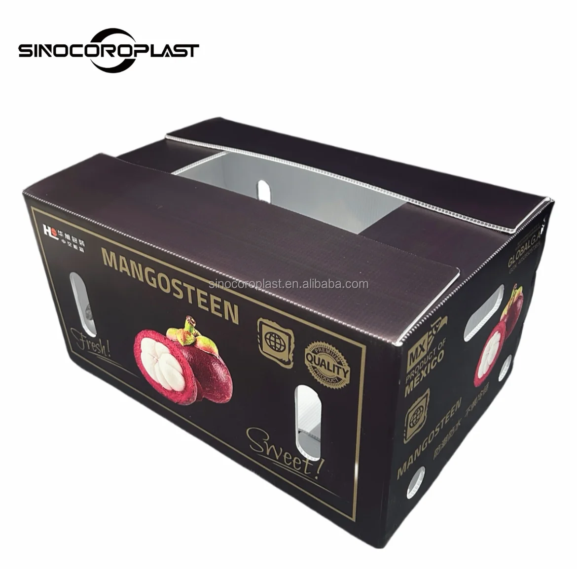 Wholesale Custom Foldable Plastic Corrugated Fresh Printed Folding Fruit Storage Packaging Packing PP Coroplast Box For Fruit