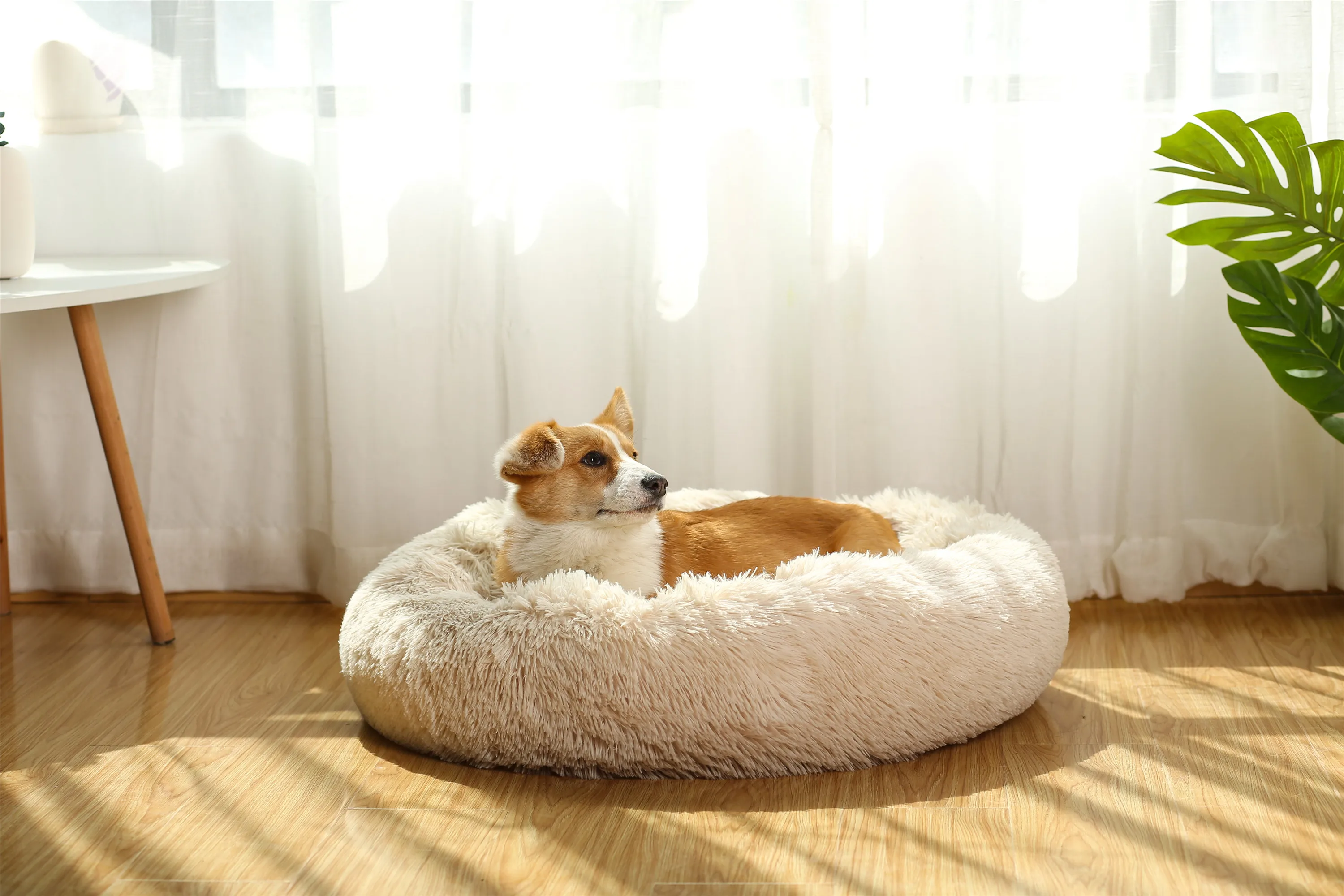 Amazon Popular Luxury Cat Dog Bed Cave Eco Friendly Velvet Modern Washable Bed for Pet Cats Dogs