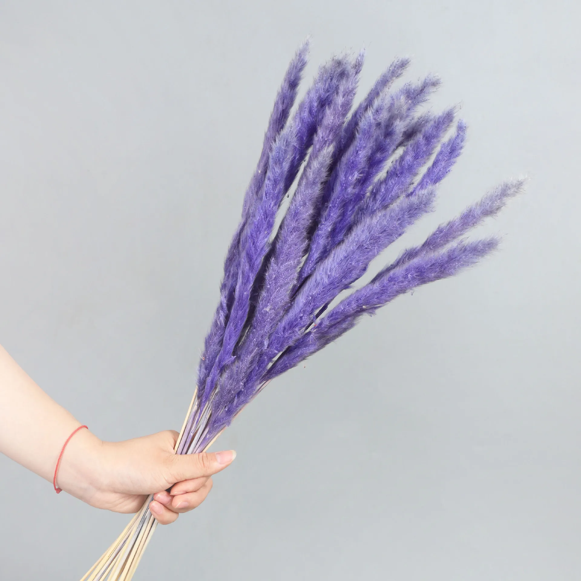 Dried flower customizable Package 45cm  Dried Pampas Grass potpourri dried flowers