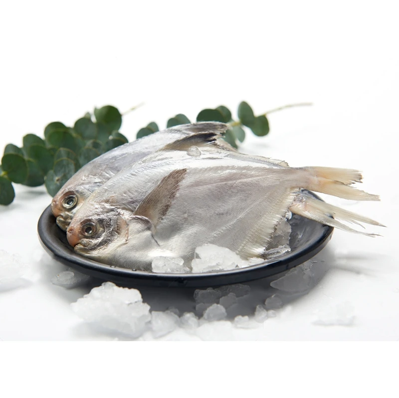 High Quality Service 300g Frozen Silver  Fish Chinese Pomfret